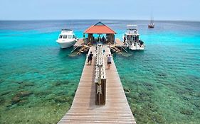 Divi Flamingo Beach Resort